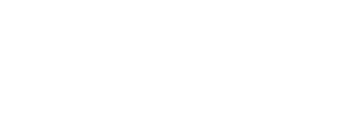 exevi singular solutions